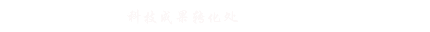 科技成果转化处